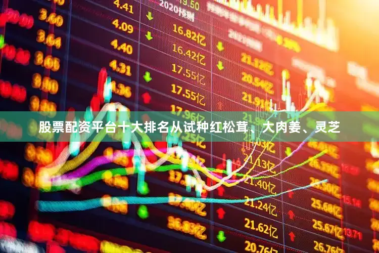 股票配资平台十大排名从试种红松茸、大肉姜、灵芝