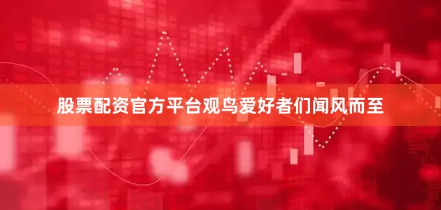 股票配资官方平台观鸟爱好者们闻风而至